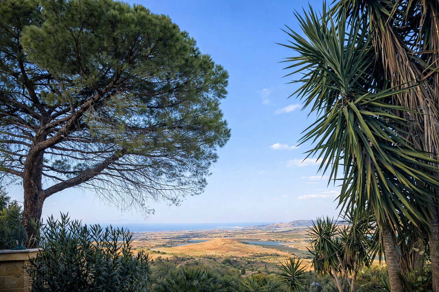 Panoramica con pino e yucche a Mariscò