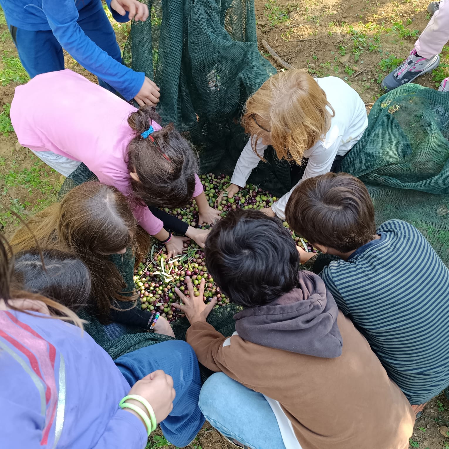 Attività agricola condivisa durante un’esperienza della Fattoria Sociale Mariscò