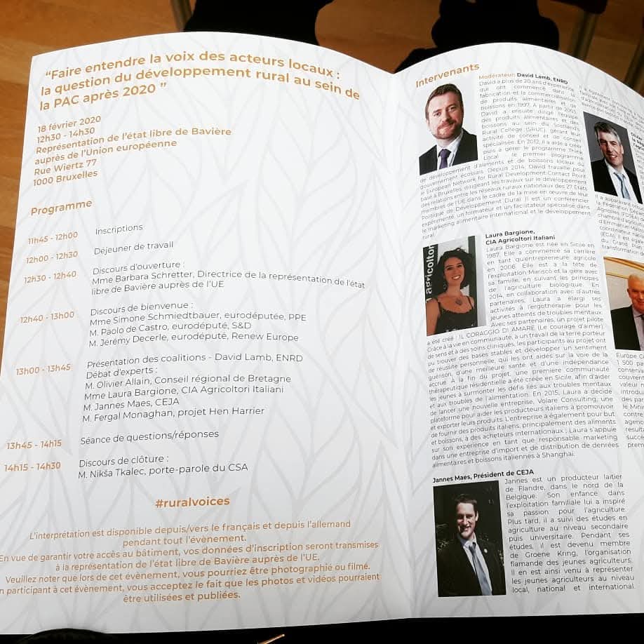 Rassegna stampa — Europa / Bruxelles (profilo Laura Bargione)