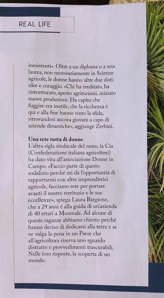 Rassegna stampa — Real Life (articolo e citazione)